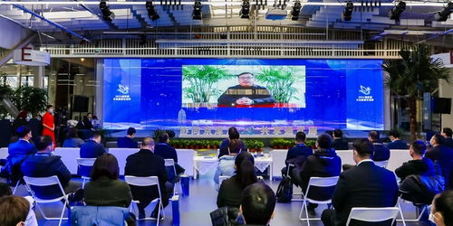 京津冀運(yùn)河文化旅游城市合作組織 以文化藝術(shù)交流為紐帶，共繪協(xié)同發(fā)展新畫卷